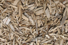 biomass boilers Caskieberran