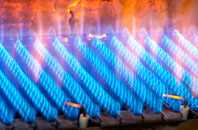 Caskieberran gas fired boilers